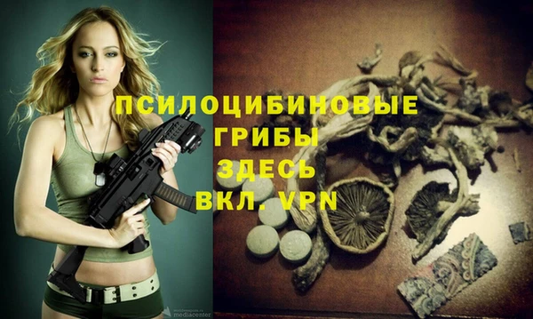 СК Арсеньев