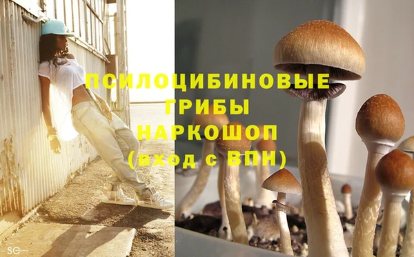 таблы Аркадак