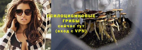 таблы Аркадак
