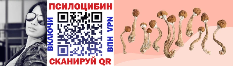 Псилоцибиновые грибы мухоморы  MEGA   Мамоново  купить наркоту 